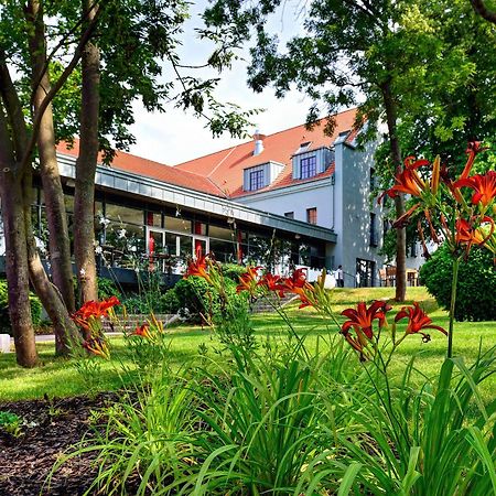 Arthotel Kiebitzberg Havelberg Εξωτερικό φωτογραφία
