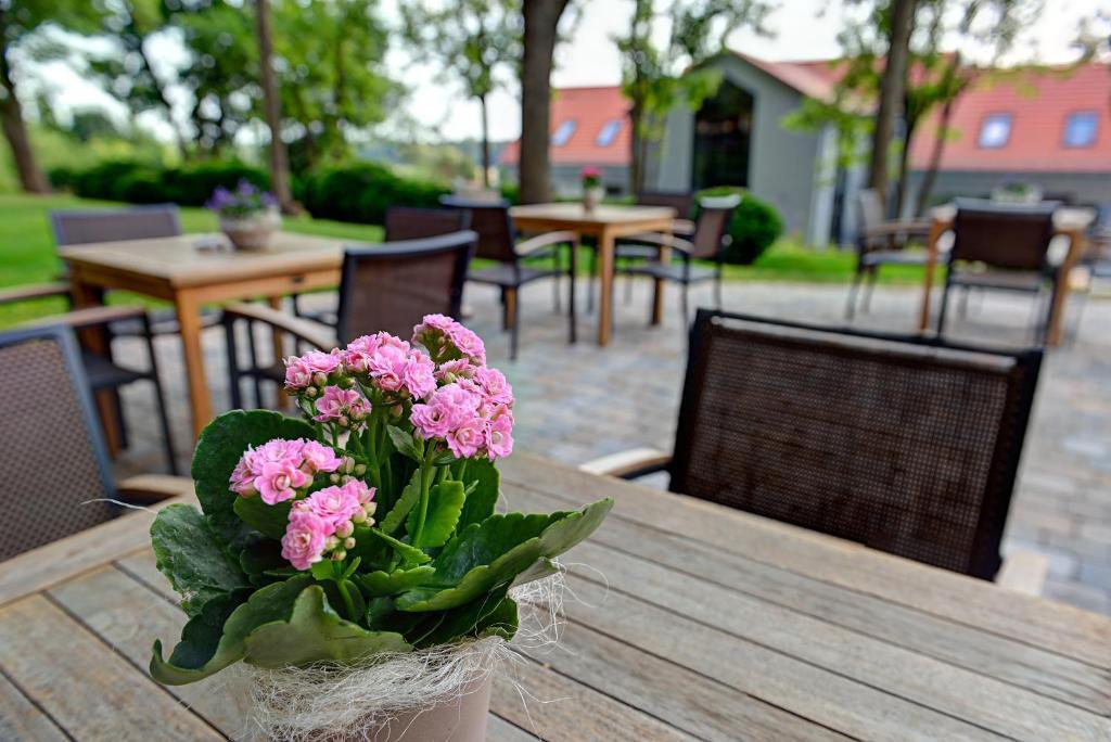 Arthotel Kiebitzberg Havelberg Εξωτερικό φωτογραφία